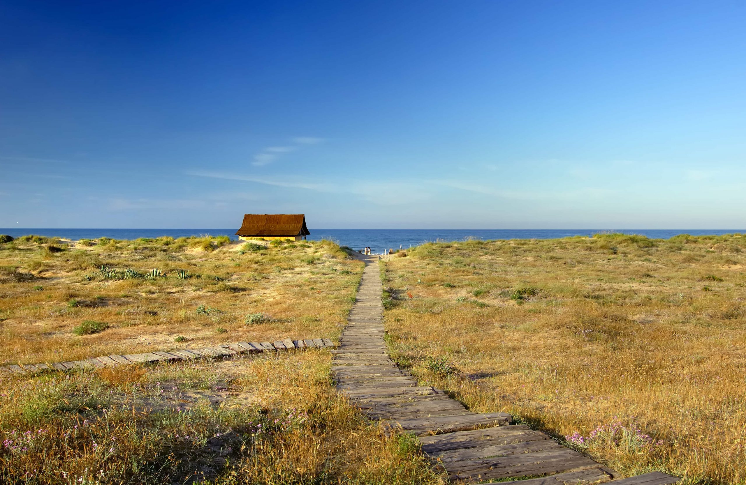 Playa mediterránea