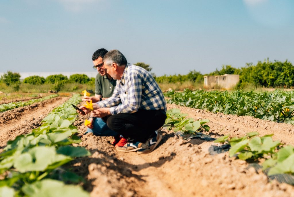 Huerta de Ricard Camarena