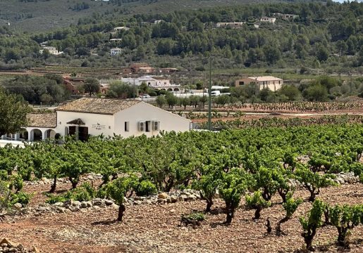 pepe mendoza - valencia premium 2