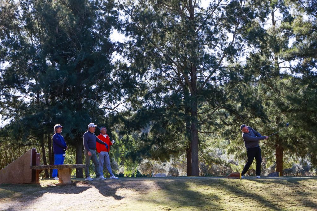 Salida entre pinos en el II Torneo de Golf Valencia Premium